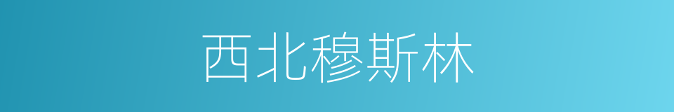 西北穆斯林的同义词