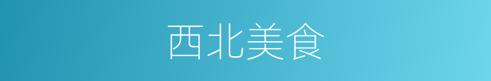西北美食的同义词