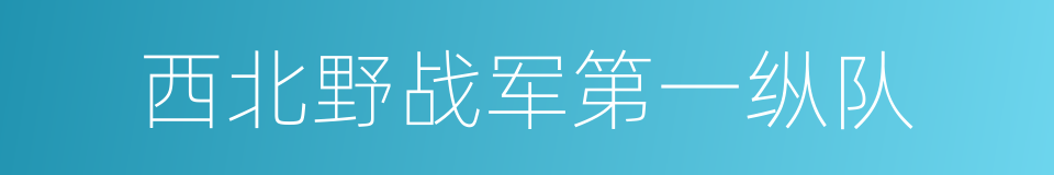 西北野战军第一纵队的同义词