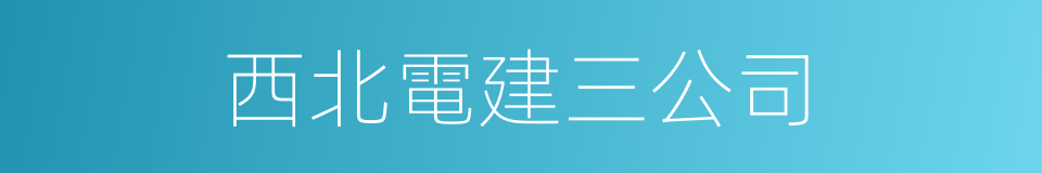 西北電建三公司的同義詞