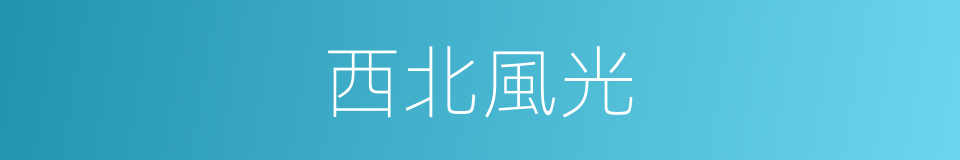 西北風光的同義詞