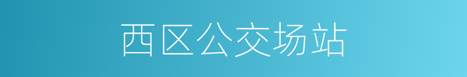 西区公交场站的同义词