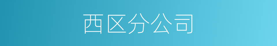 西区分公司的同义词