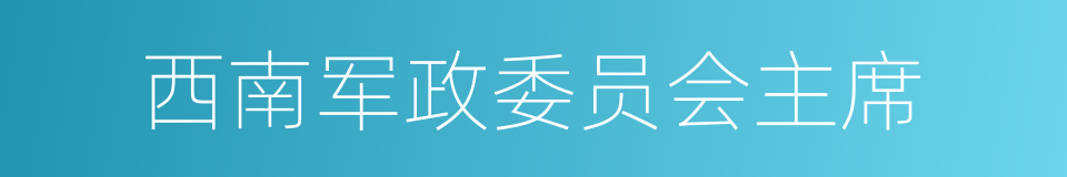 西南军政委员会主席的同义词