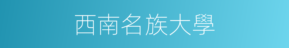 西南名族大學的同義詞