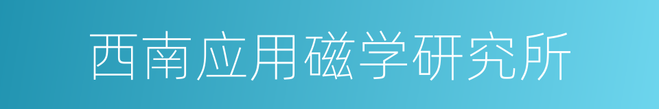 西南应用磁学研究所的同义词