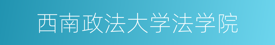 西南政法大学法学院的同义词