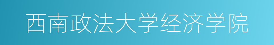 西南政法大学经济学院的同义词