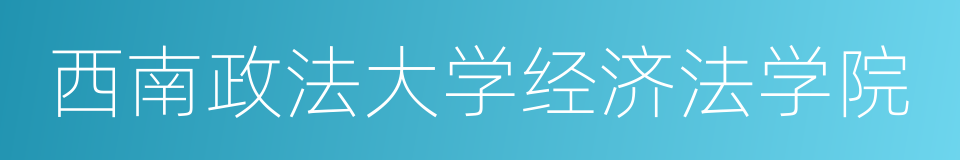西南政法大学经济法学院的同义词