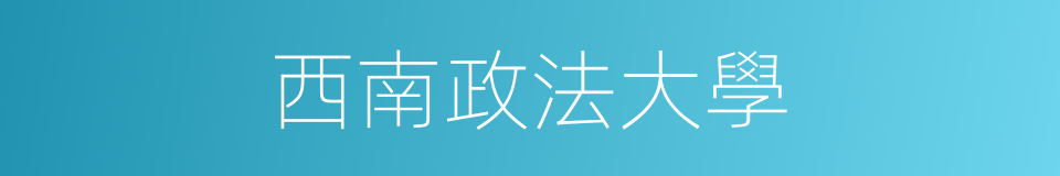 西南政法大學的同義詞