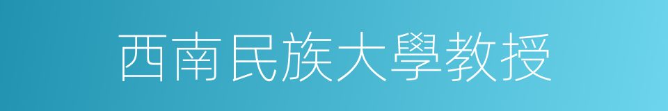 西南民族大學教授的同義詞