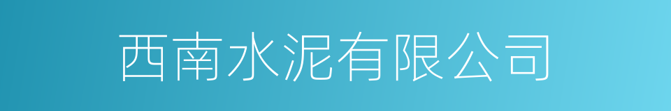 西南水泥有限公司的同义词