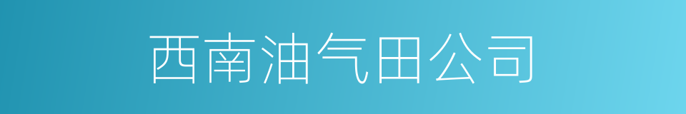 西南油气田公司的同义词