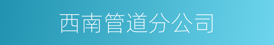 西南管道分公司的同义词