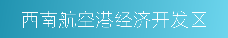 西南航空港经济开发区的同义词