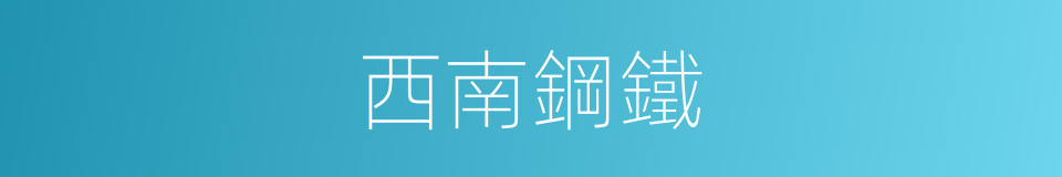 西南鋼鐵的同義詞