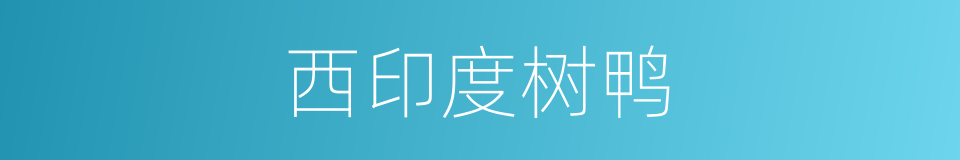 西印度树鸭的同义词