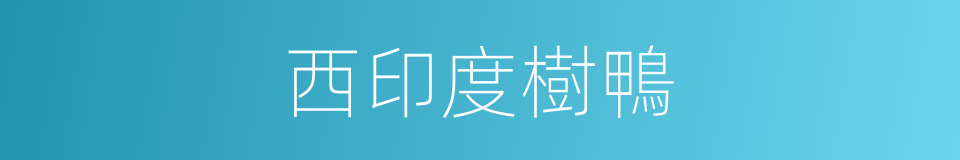 西印度樹鴨的同義詞