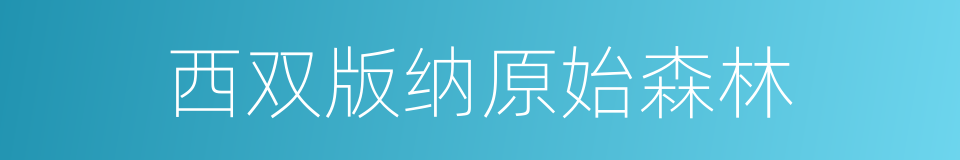 西双版纳原始森林的同义词