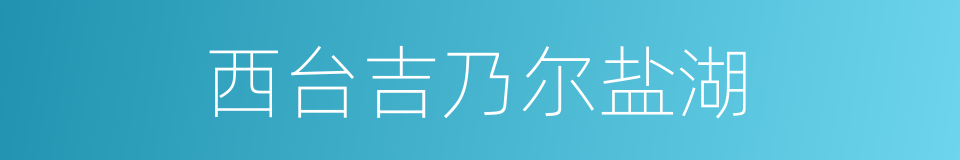 西台吉乃尔盐湖的同义词