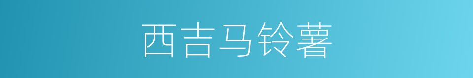 西吉马铃薯的同义词