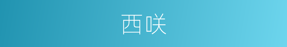 西咲的同义词