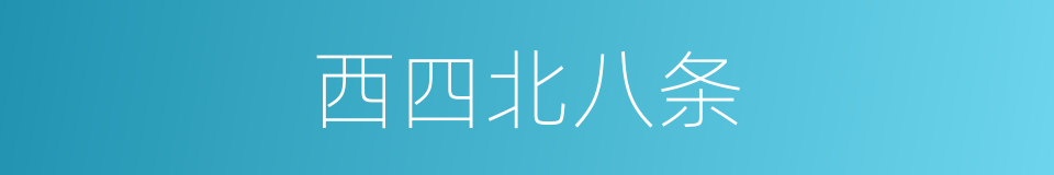 西四北八条的同义词