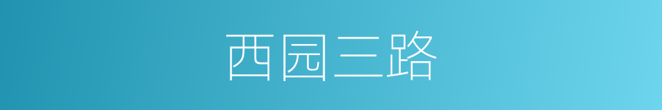 西园三路的同义词