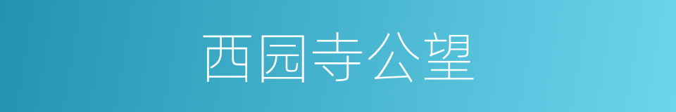 西园寺公望的同义词