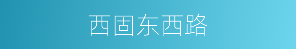 西固东西路的同义词