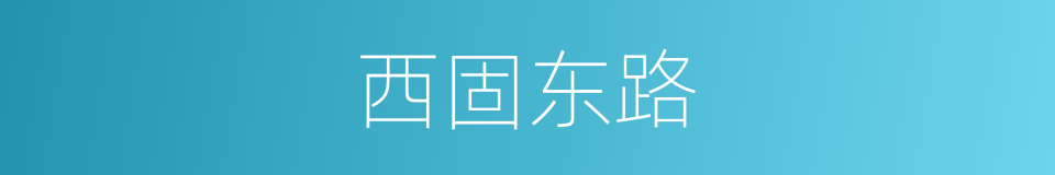 西固东路的同义词
