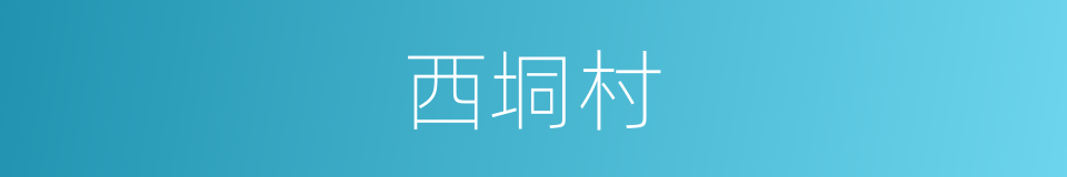 西垌村的同义词