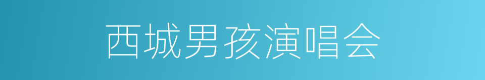 西城男孩演唱会的同义词