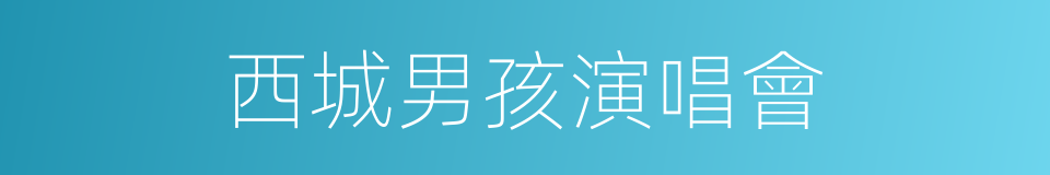 西城男孩演唱會的同義詞