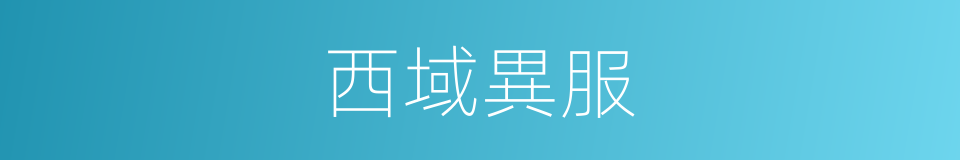 西域異服的同義詞