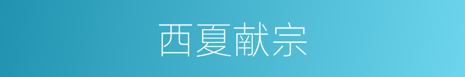 西夏献宗的同义词
