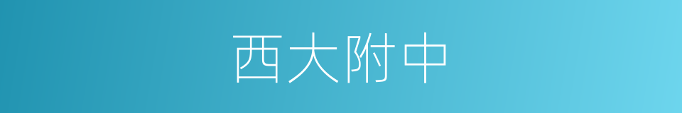 西大附中的同义词