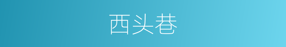 西头巷的同义词
