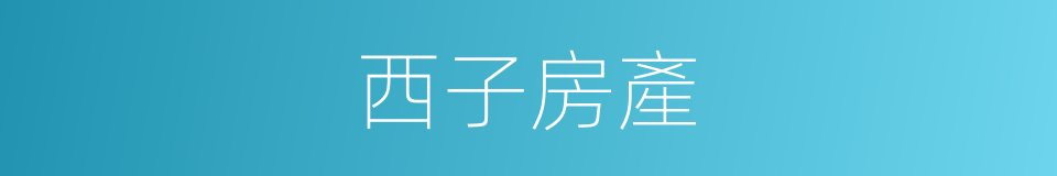西子房產的同義詞