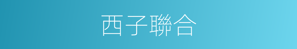 西子聯合的同義詞