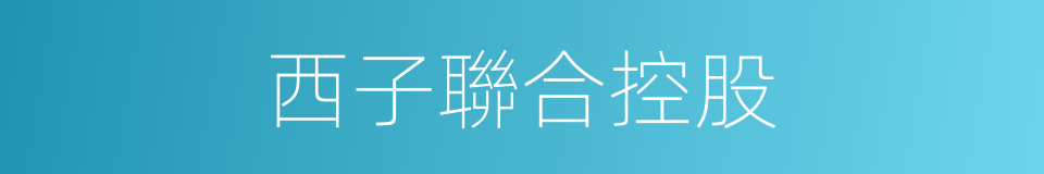 西子聯合控股的同義詞