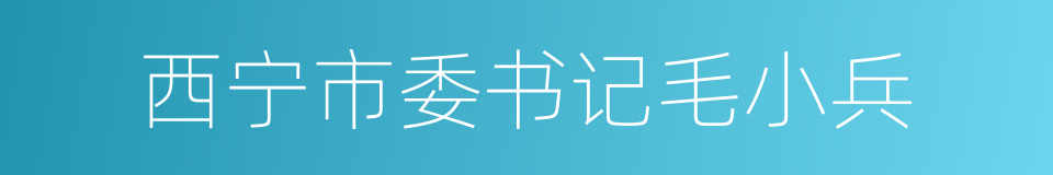 西宁市委书记毛小兵的同义词