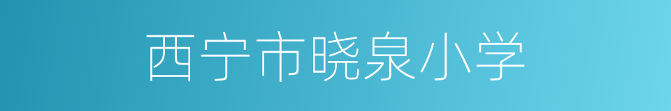 西宁市晓泉小学的同义词