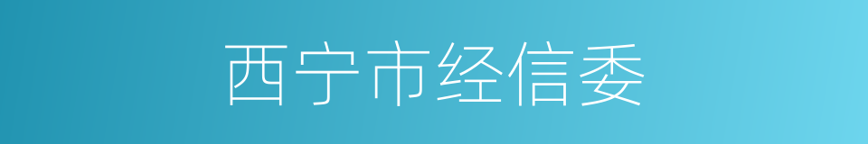 西宁市经信委的同义词