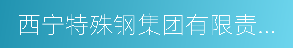 西宁特殊钢集团有限责任公司的同义词