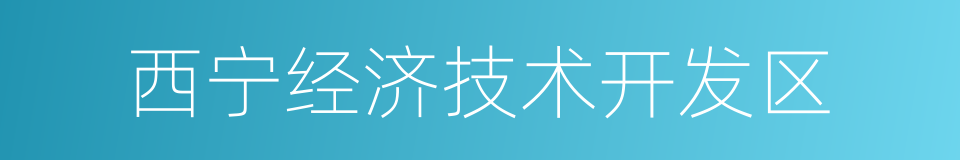 西宁经济技术开发区的同义词