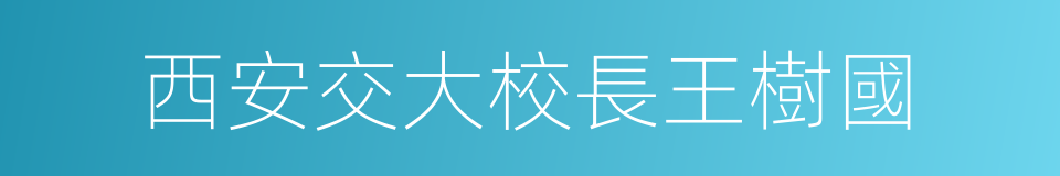 西安交大校長王樹國的同義詞