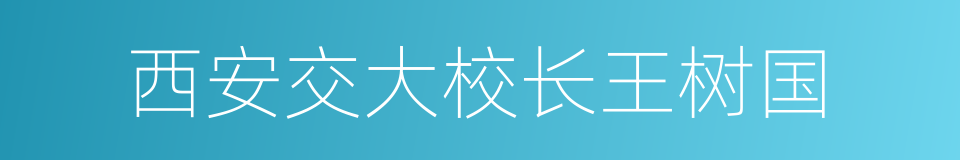 西安交大校长王树国的同义词