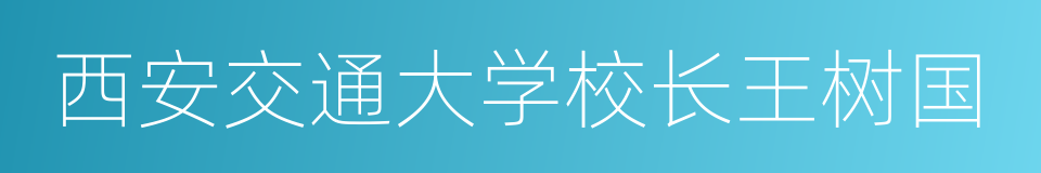 西安交通大学校长王树国的同义词