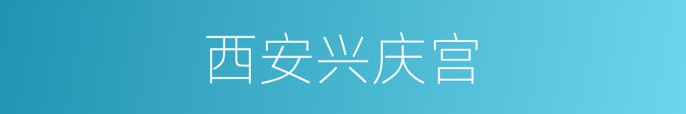 西安兴庆宫的同义词